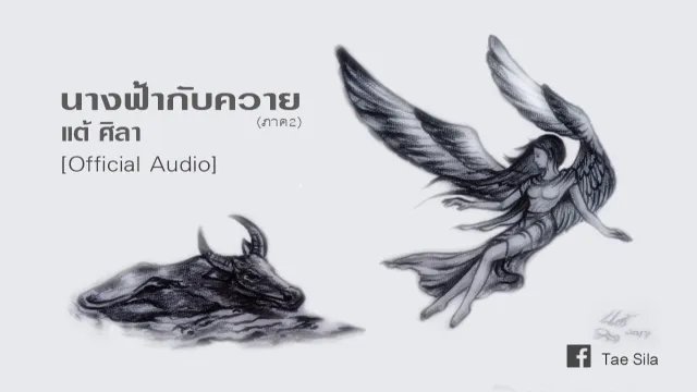 คอร์ดเพลง นางฟ้ากับควาย(ภาค2) - แต้ ศิลา