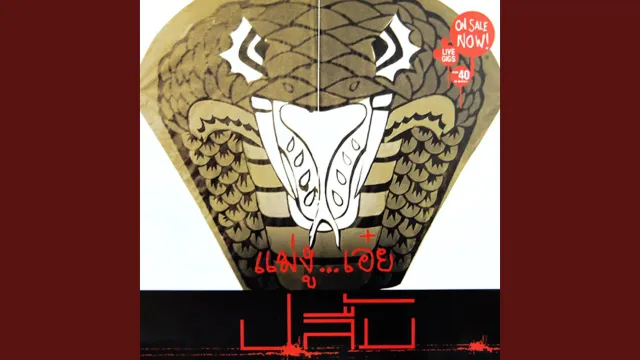 คอร์ดเพลง ละอองใจ - ปลื้ม