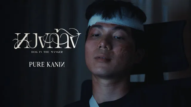 คอร์ดเพลง หวงก้าง - PURE KANIN