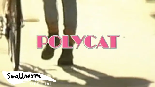 คอร์ดเพลง เพื่อนไม่จริง - POLYCAT
