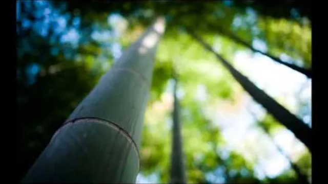 คอร์ดเพลง ความในใจ - ต้อม เรนโบว์