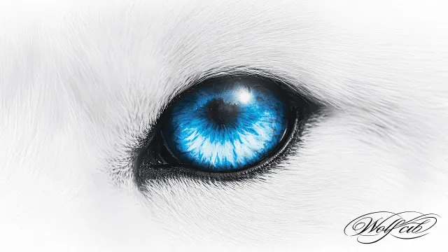 คอร์ดเพลง 25 ชั่วโมง (คิดถึงเกิน) - 1ST ft.SARAN, BLVCKHEART