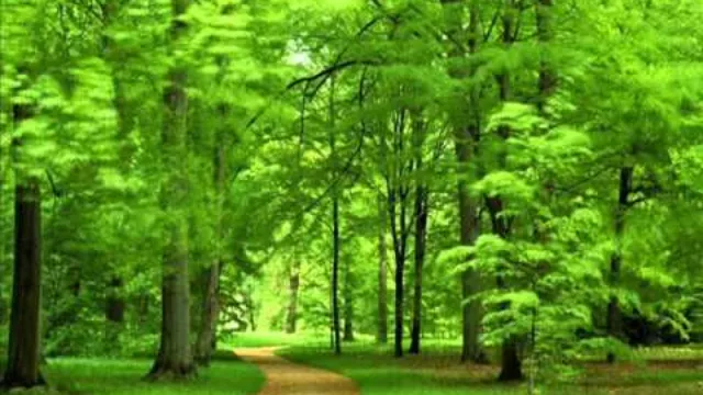 คอร์ดเพลง นางฟ้าดอกปุด - เอนก ควนขนุน