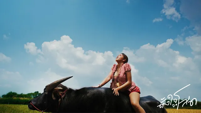 คอร์ดเพลง ตั้งใจจะโสด - RachYO รัชโย