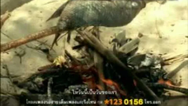 คอร์ดเพลง น้ำผึ้งพระจันทร์ - Jetseter