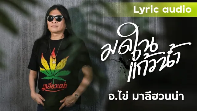 คอร์ดเพลง มดในแก้วน้ำ - อ.ไข่ มาลีฮวนน่า