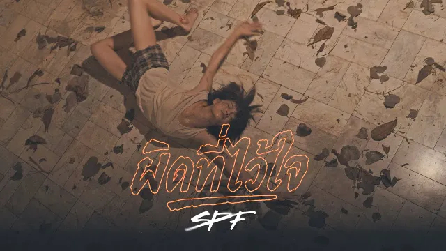 คอร์ดเพลง ผิดที่ไว้ใจ - SPF