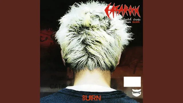 คอร์ดเพลง เหตุผล - แมว จิรศักดิ์