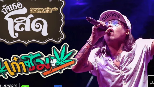 คอร์ดเพลง ถ้าเธอโสด - เก๋าซึม