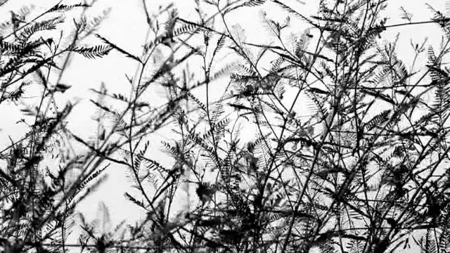 คอร์ดเพลง จดหมายถึงพ่อ - อี๊ด ฟุตบาท