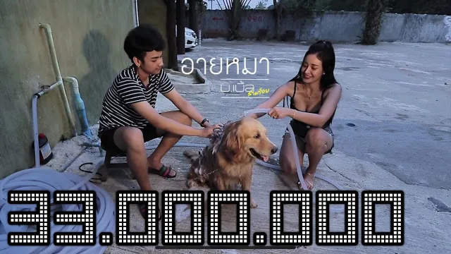 คอร์ดเพลง อายหมา - บ.เบิ้ล สามร้อย ft.ต้นอ้อ