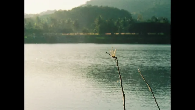 คอร์ดเพลง วันนี้อากาศดี - WHATFALSE
